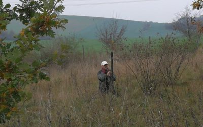Sázíme stromy v neděli 17. 11. od 14 hodin