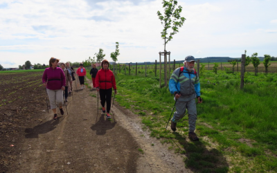 Nordic walking ve Zdravém městě Šlapanice