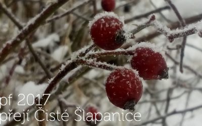 Veselé Vánoce a šťastný nový rok 2017!