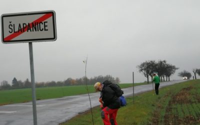 Alej Kobylnická a Černý splav: 3. 11. 2018
